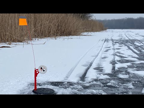 Видео: САМЫЕ ЛУЧШИЕ ЖЕРЛИЦЫ. САМЫЕ УЛОВИСТЫЕ ЖЕРЛИЦЫ. ДОРАБОТКА ЖЕРЛИЦ.  САМЫЕ ЗАМЕТНЫЕ ЖЕРЛИЦЫ.