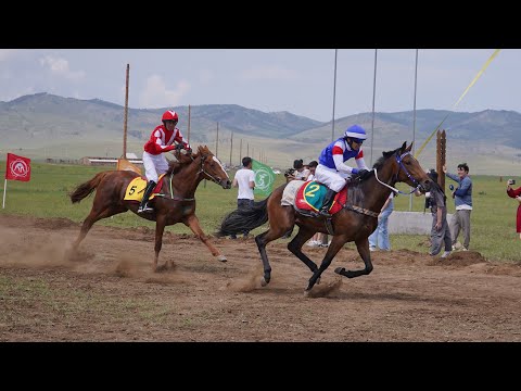 Видео: Скачка для лошадей 2х лет верховых пород на призы памяти Шантагарова Ф.К. "Наадан-Сурхарбаан 2023"
