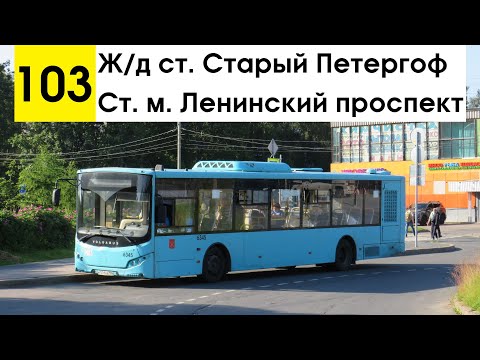 Видео: Автобус 103 "Ж/д ст. "Старый Петергоф" - ст. м. "Ленинский проспект"