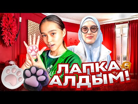 Видео: ЛАПКА АЛДЫМ #влог