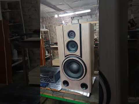 Видео: строю акустику в гараже #акустика #колонки #домашняя акустика