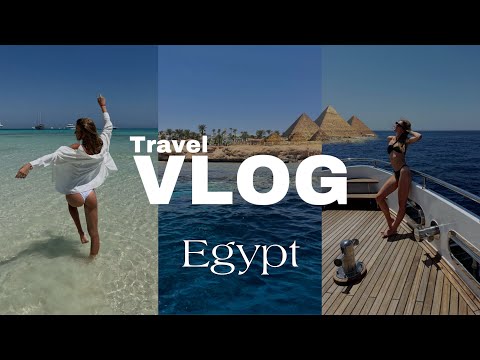 Видео: Vlog Египет|Дайвинг|Safir Sharm Waterfalls 5*