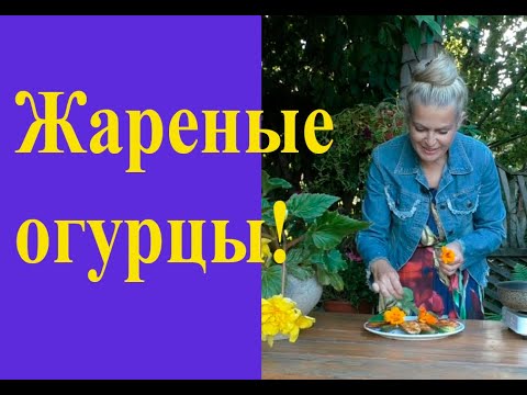 Видео: Жареные огурцы-переростки