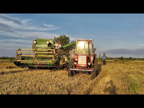 Видео: Врожай супер, але прицеп підвів! Попали на колесо!