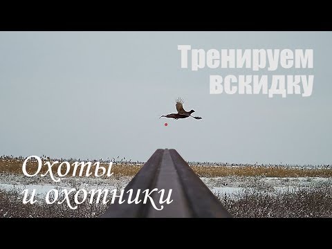 Видео: Как тренироваться с ружьем дома - тренировка вскидки и как научиться стрелять на охоте.