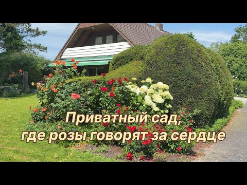 Видео: Прогулка по приватному саду с романтическим ароматом 🌿 Schöne Gärten 🌿