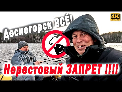 Видео: Последняя РЫБАЛКА. НЕРЕСТОВЫЙ ЗАПРЕТ В ДЕСНОГОРСКЕ