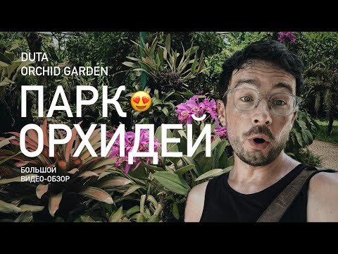 Видео: Потрясающий парк орхидей на Бали