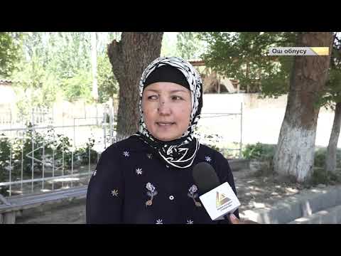 Видео: Төөлөс айыл өкмөтү
