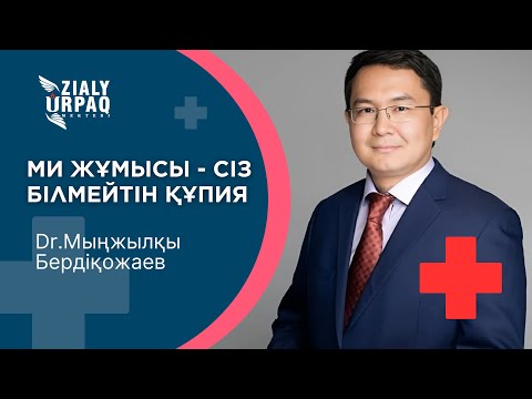 Видео: Ми жұмысы-сіз білмейтін құпия | Мыңжылқы Бердіқожаев | ZIALY URPAQ MEKTEBI