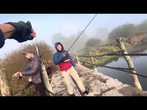 Видео: Риболовні пригоди на річці Стир (жовтень 2024)
