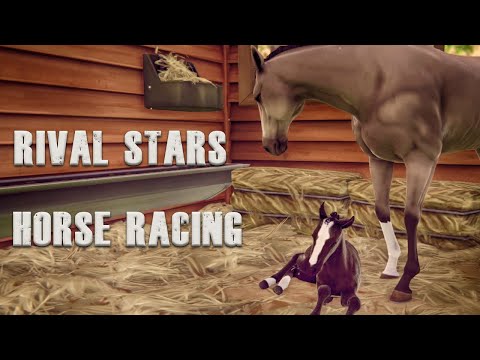 Видео: Rival Stars Horse Racing. Обновление : 21новая масть и предпочтения имеют значение