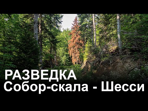Видео: Разведка тропы Собор-скала - Шесси