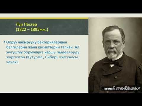 Видео: Биология. Бактериялар, алардын тузулушу жана жашоо тиричилиги