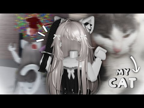 Видео: кошка решает за меня абсолютно все