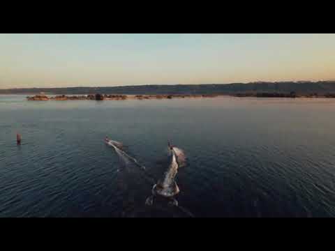 Видео: ЧТО ТАКОЕ JET SURF  же ДОСКА С МОТОРОМ ДЖЕТ-СЕРФ
