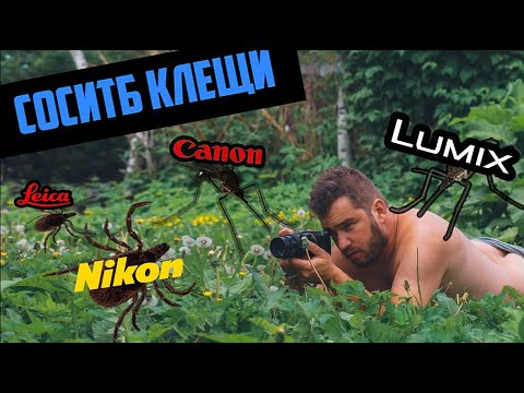 Видео: SONY A7C. Личный опыт после зеркалки