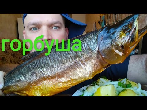 Видео: МУКБАНГ ГОРБУША холодного копчения / ОБЖОР картошка в мундире