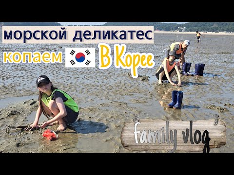Видео: Один счастливый выходной с семьёй в Корее ^^ KOREA VLOG