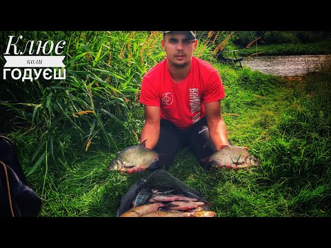 Видео: Кинув його в прикормку і пішов ЛЯЩ!Фідерна рибалка на р.Стир в пошуках ляща #риболовля2023