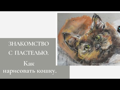 Видео: Знакомство с пастелью. Как нарисовать кошку.