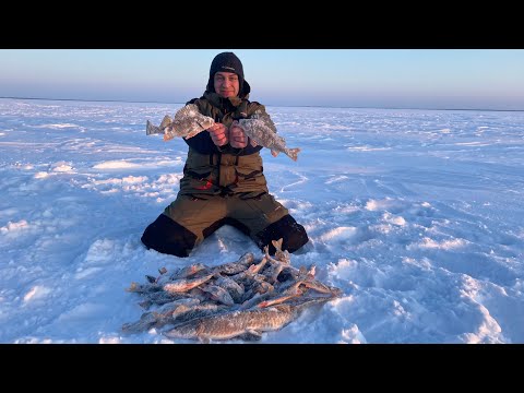 Видео: В ЭТОТ РАЗ НА РЫБАЛКУ НА БОЛЬШОЕ ОЗЕРО! ЗИМНЯЯ РЫБАЛКА 2022.