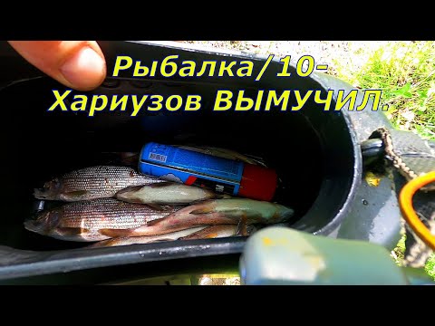 Видео: Рыбалка на Хариуса/ДА Ты не искал ! Искать надо н....!!!