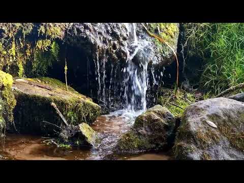 Видео: Звуки Природи для Твого Сну та Відпочинку| Звук Води