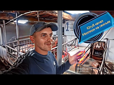 Видео: Какое кормление лучше ? Гранула? Дробленка ? Запаренная каша ?