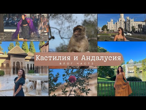 Видео: Среща с маймуни I Испания I Влог Част 2