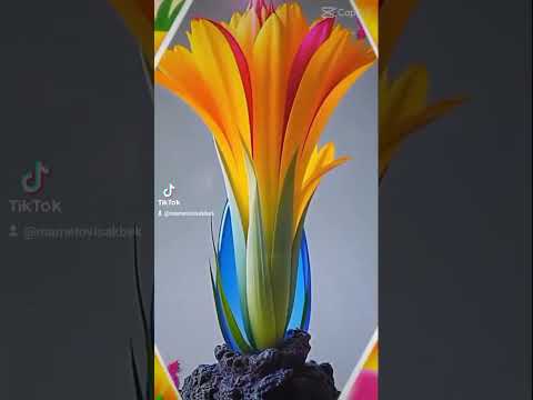 Видео: 23 октября 2025 г.