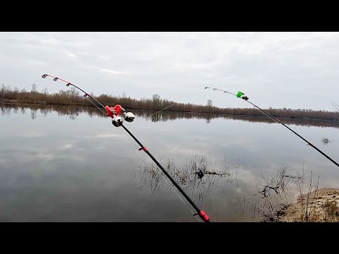 Видео: ХІД ПЛОТВИ?! ОБСТАНОВКА НА БЕРЕГАХ ДЕСНИ В ПУХІВЦІ // архів