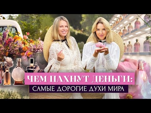 Видео: ЧЕМ ПАХНУТ ДЕНЬГИ! Самые Дорогие Ароматы, Эксклюзивные Парфюмы и Духи На Миллион