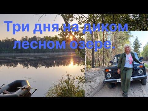 Видео: Отдых и рыбалка на ДИКОМ ЛЕСНОМ озере. Заброшенная охотничья база.