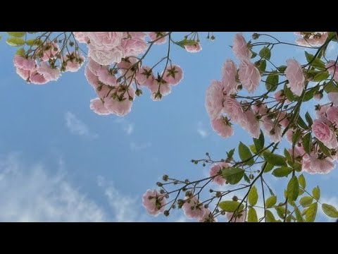 Видео: ПРОМЯНАТА Е ТУК! ХАОСА НЯМА ДА ТЕ СПРЕ ДА СТИГНЕШ ДО ЩАСТИЕТО!