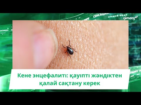 Видео: Кене энцефалиті: қауіпті жәндіктен қалай сақтану керек