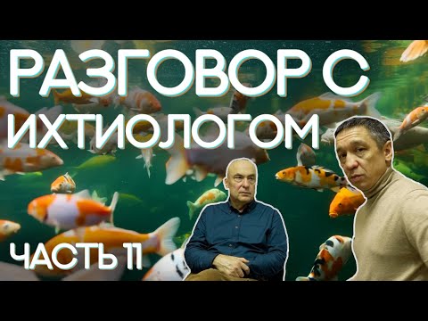 Видео: Разговор с ихтиопатологом Белковским Николаем Михайловичем. Отвечаем на вопросы