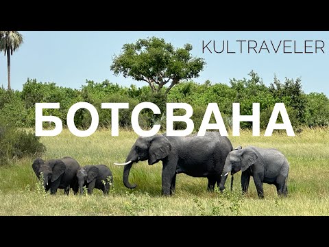 Видео: Путешествие по Ботсване | Botswana 2024