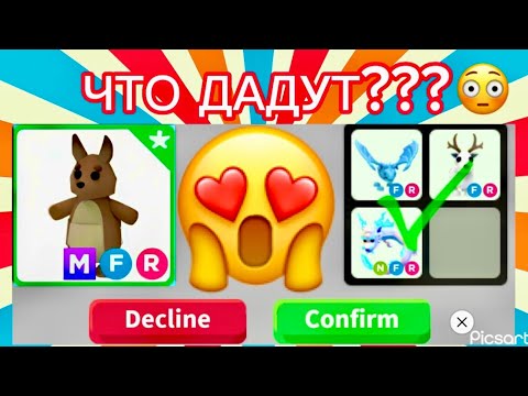 Видео: ❤️ТРЕЙЖУ МЕГА ФР КЕНГУРУ😱 что же мне предложат🧐