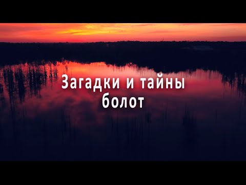 Видео: Загадки и тайны болот. Что говорят о них современные учёные? #интересное