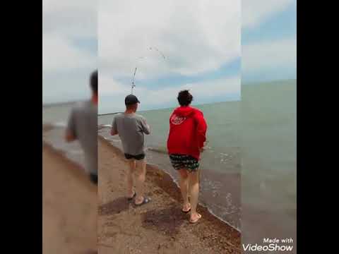Видео: Рыбалка капчагай вторая насосная