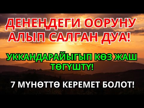 Видео: ДАРЫСЫ ЖОК ООРУГА ШЫПАА! Бул дуба менен керемет мүмкүн | 2
