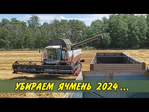 Видео: 🛻 ПЕРВЫЙ РЕЙС... УБОРКА урожая ОЗИМОГО ЯЧМЕНЯ НА КУБАНИ 2024 / Начало страды 2024