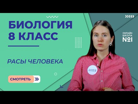 Видео: Расы человека. Видеоурок 4. Биология 8 класс