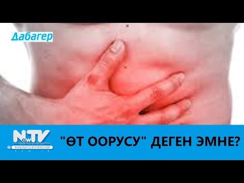 Видео: "ӨТ ООРУСУ" ДЕГЕН ЭМНЕ?\\ДАБАГЕР\\NewTV