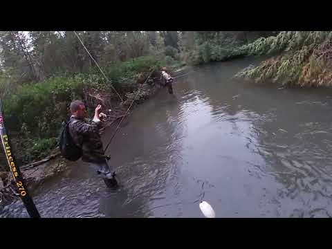 Видео: Рыбалка на хариуса.