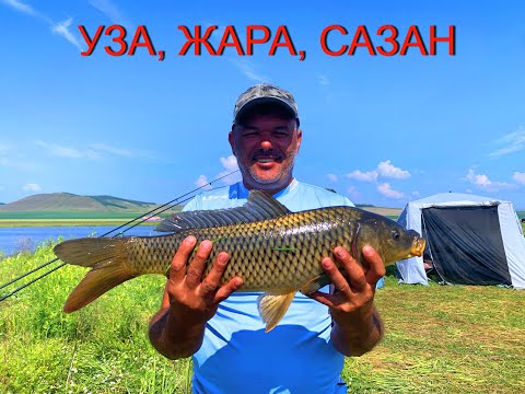 Видео: УЗА, ЖАРА, САЗАН