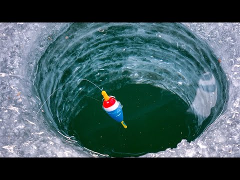 Видео: ЭТА НАЖИВКА СПАСЛА РЫБАЛКУ! Жена ОБЛАВЛИВАЕТ… Зимняя рыбалка на поплавок