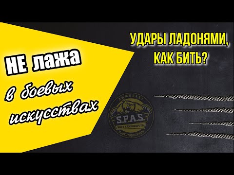 Видео: НЕ лажа в боевых искусствах: удары ладонями