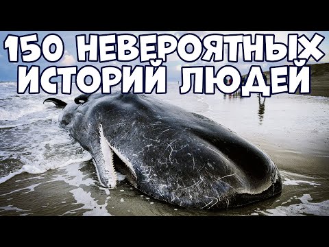 Видео: 150 НЕВЕРОЯТНЫХ ИСТОРИЙ ЛЮДЕЙ, В КОТОРЫЕ СЛОЖНО ПОВЕРИТЬ